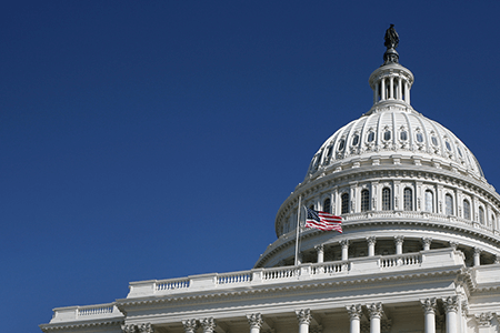 Government Capitol Dome Close Up