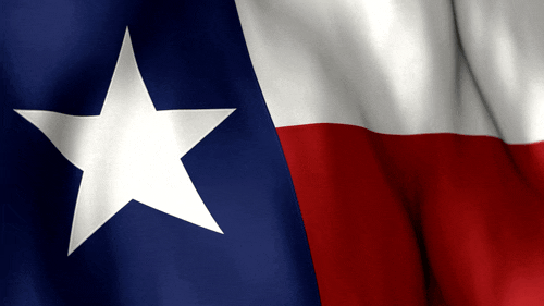 Texas Flag Animated Loop