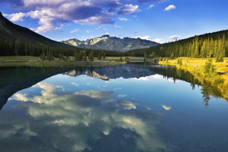 Leading the Charge: ACC Member Companies Champion Water Stewardship