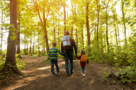 Father Walking with Children in Woods on a Sunny Day