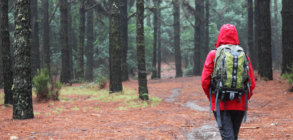 Woman Walking in Woods Wearing Red Jacket that is Repelling Water