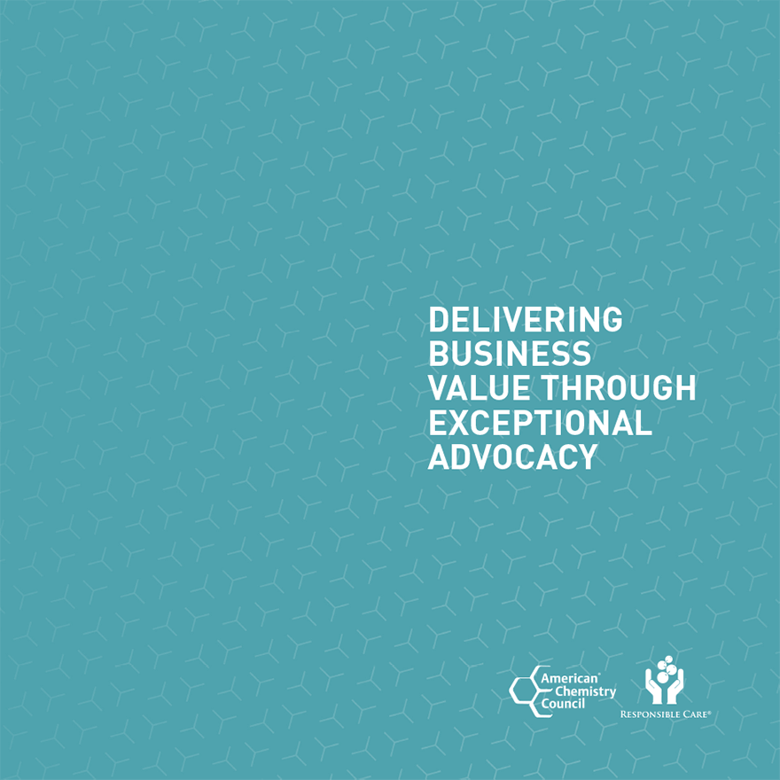 Delivering Business Value Through Exceptional Advocacy Brochure