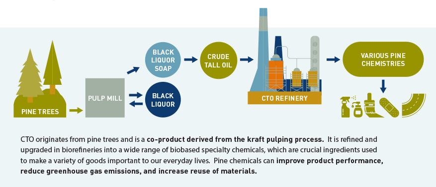 Visualization of the lifecycle of pine trees to various pine chemistries.