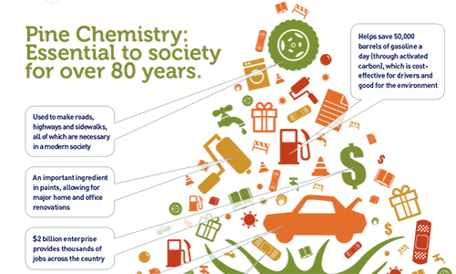 Infographic highlighting various uses of Pine chemistry.