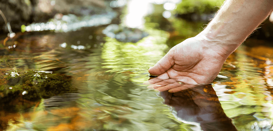 Hand in Small Body of Water