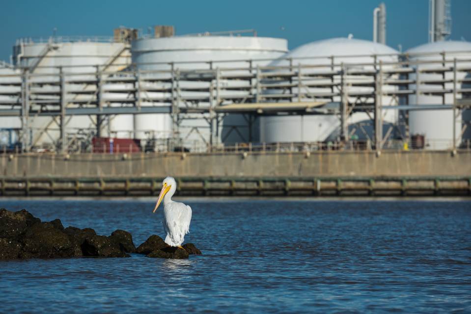 Dow Texas Plant