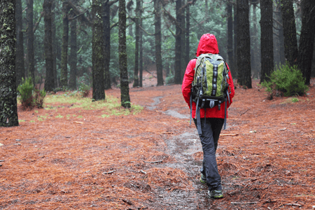 Woman Walking in Woods Wearing Red Jacket That's Repelling Water