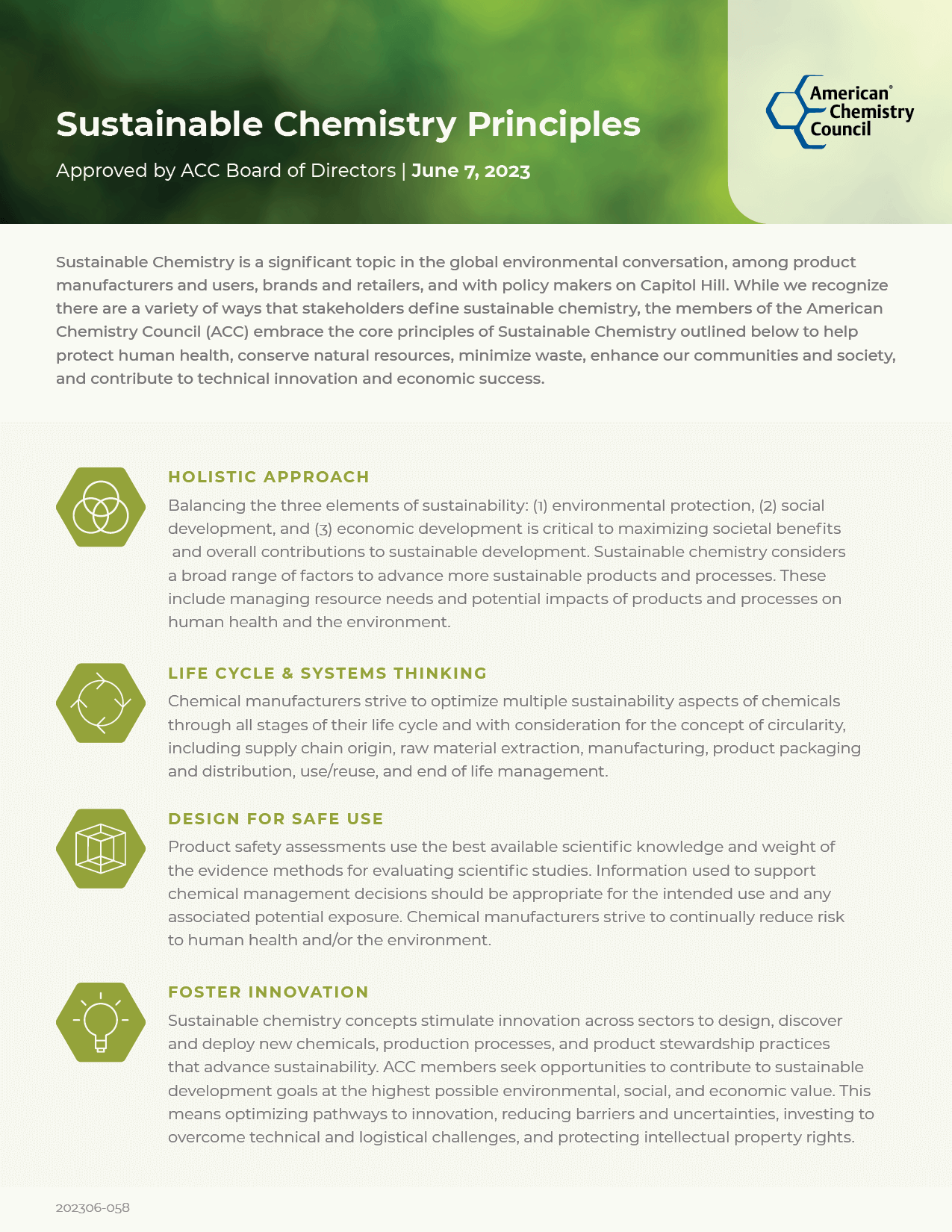 ACC Sustainable Chemistry Principles image